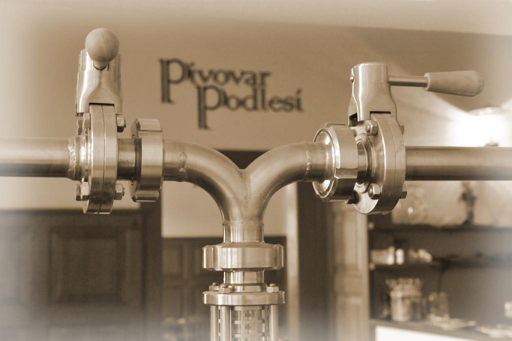 Penzion Pivovar Podlesi Příbram المظهر الخارجي الصورة